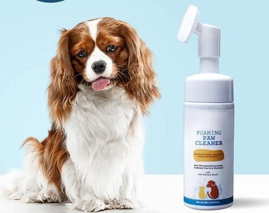 Foaming Cleaner Pet Combo